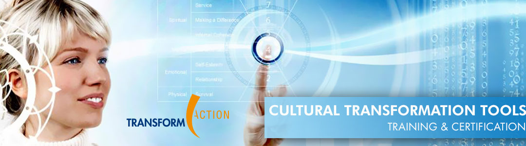 CTT Cultural Transformation Tools, Sevilla, February