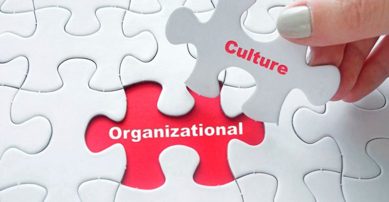 Libros de Cultura Organizacional