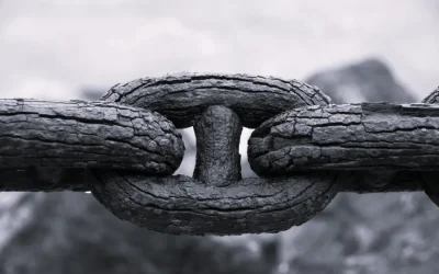 ¿Somos de procedimientos o valores?