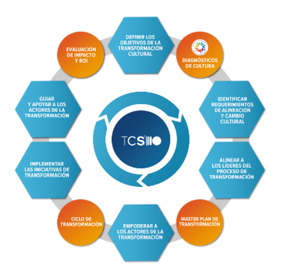 plan maestro de transformación cultural sistémica